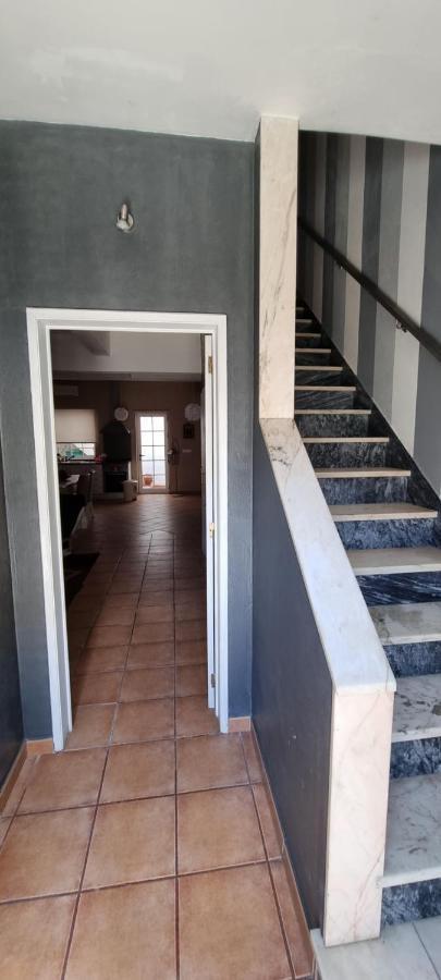 Casa Da Rua Da Fonte Villa Ferreira Do Alentejo Exteriör bild